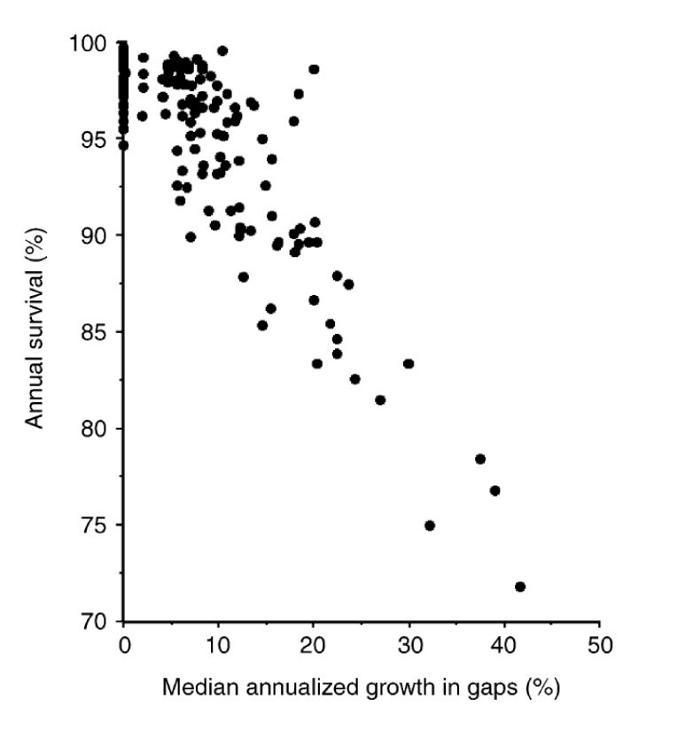 Tropical trees generalists