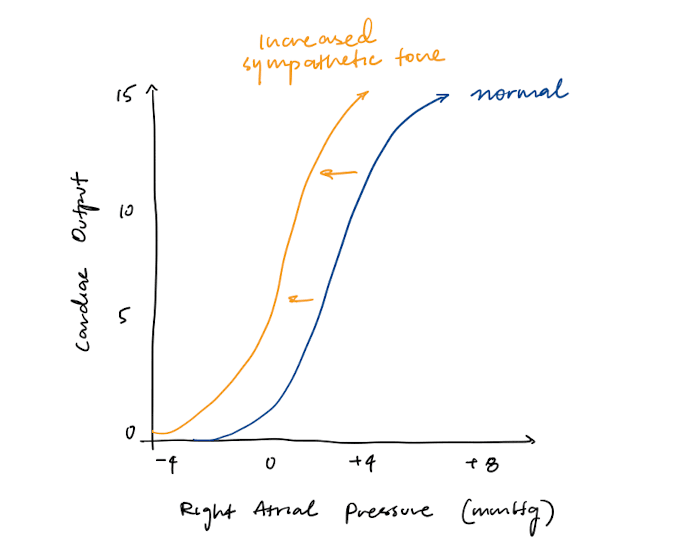 Cardiovascular pressure gradient