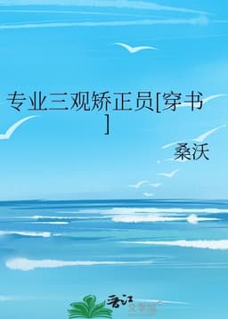 The Professional Three Views Rectifier